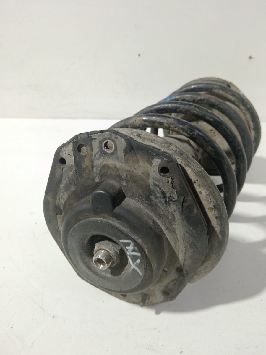 Amortiguador Delantero Derecho Citroën ZX 1991-1998