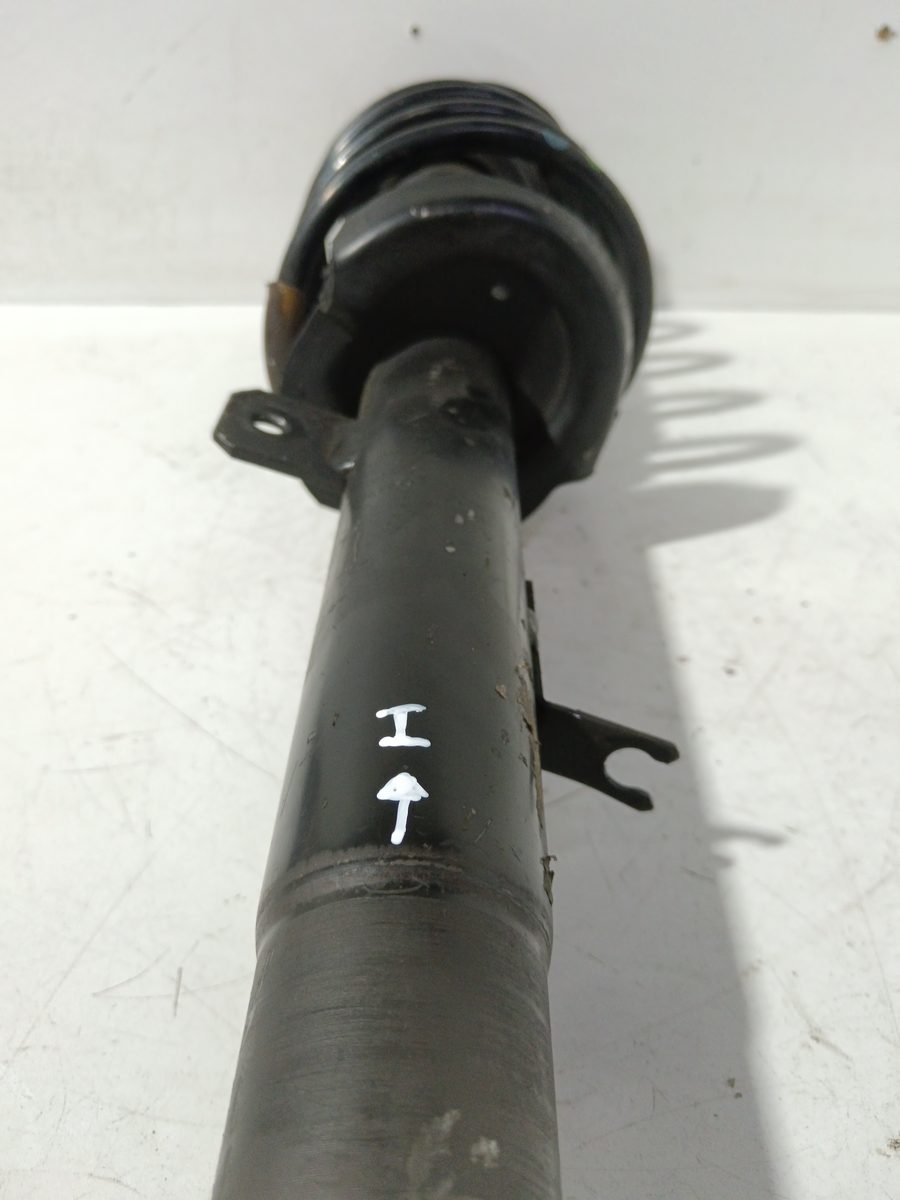 Amortiguador Delantero Izquierdo Citroën C3 1995-2010