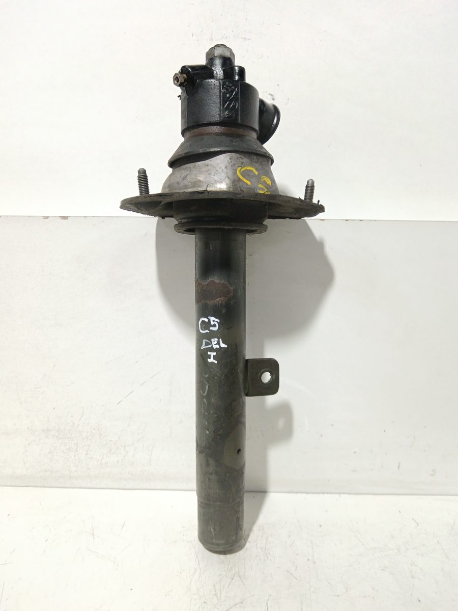 Amortiguador Delantero Izquierdo Citroën C5 Berlina 2001-2004 319369