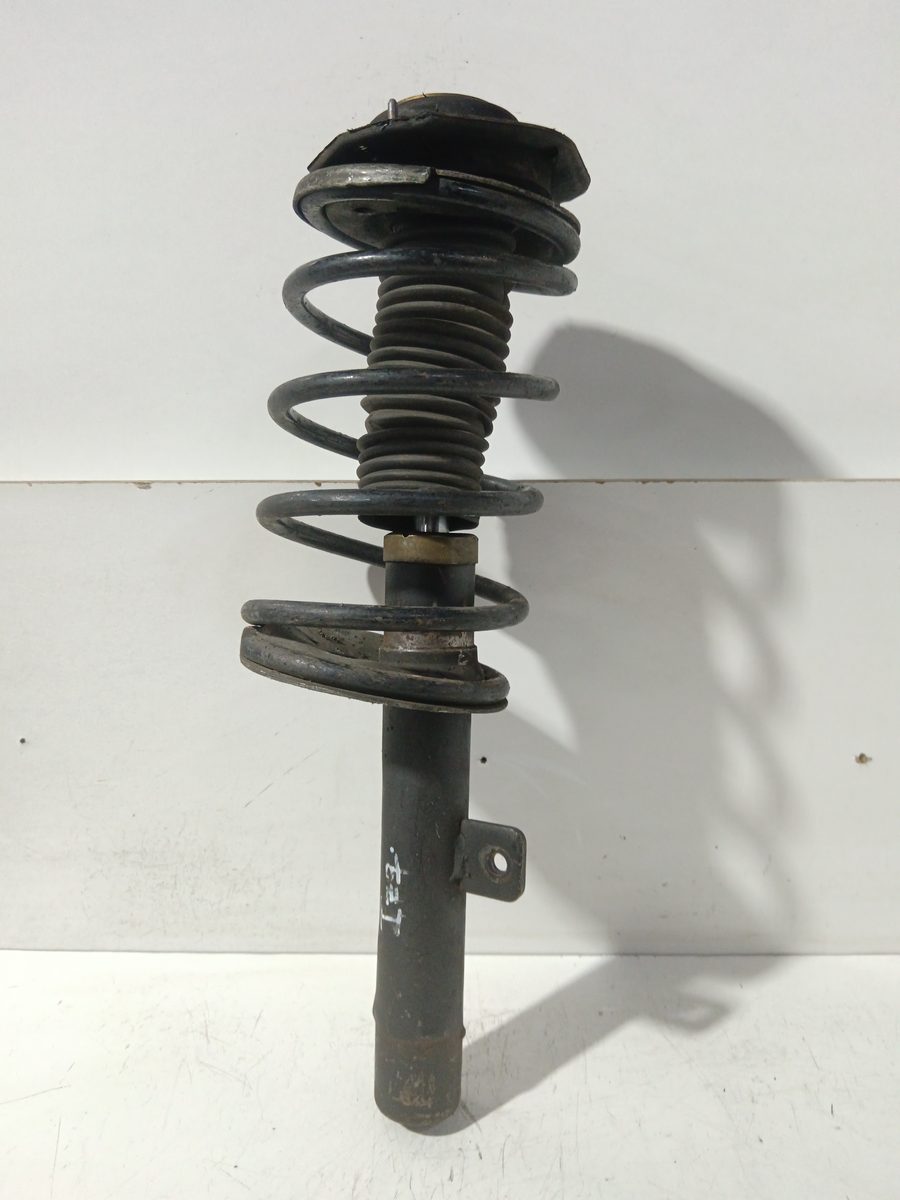 Amortiguador Delantero Izquierdo Citroën Xsara Berlina 1997-2005 421789021