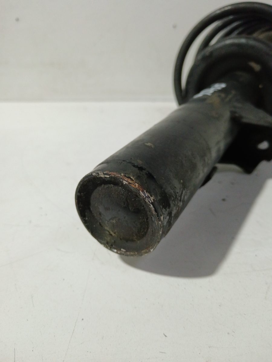 Amortiguador Delantero Izquierdo Peugeot 406 (S1/S2) 1995-2005