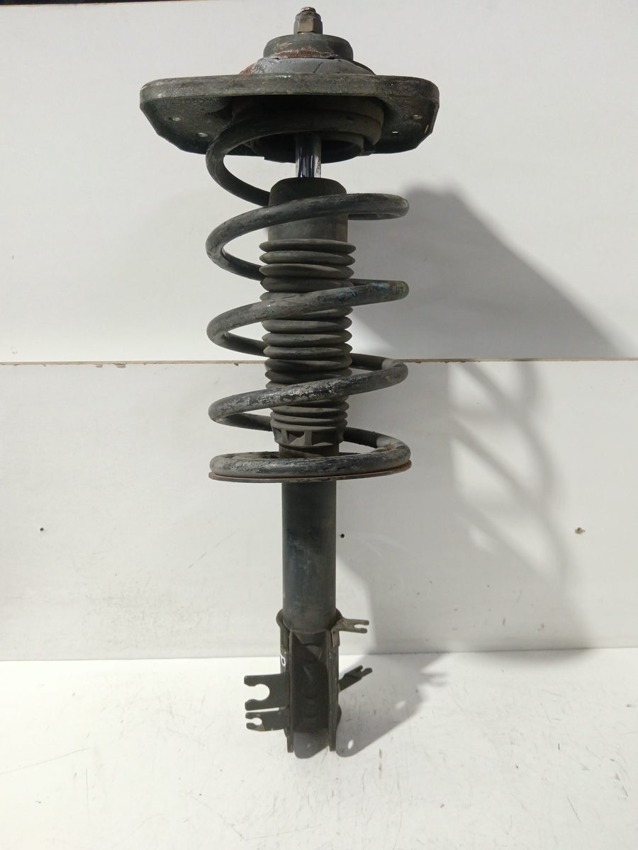 Amortiguador Delantero Izquierdo Peugeot Expert Kasten 2007-2016 Furg. 824904553846