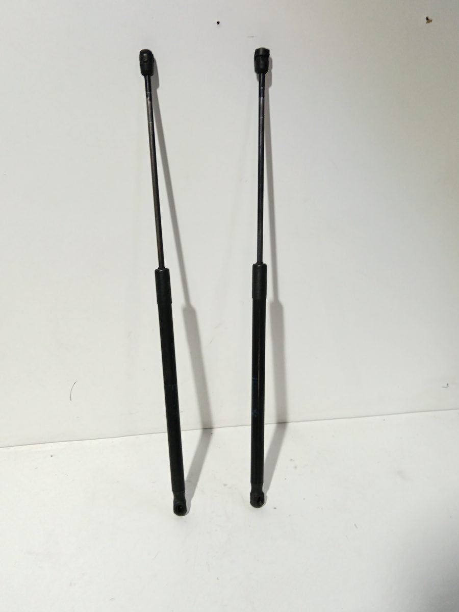 Amortiguadores Maletero / Porton BMW X1 (E84) 2009-2015