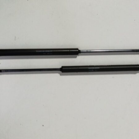 Amortiguadores Maletero / Porton Fiat Grande Punto (199) 2005-2012 0924WG