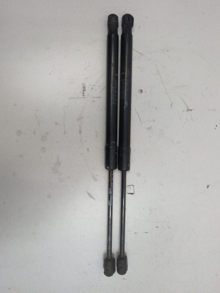 Amortiguadores Maletero / Porton Renault Scenic (JA..) 1999-2003 Authentique