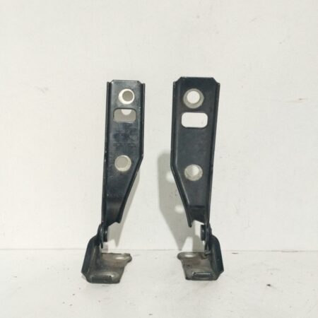 Bisagra Espolon Volkswagen Golf IV Berlina (1J1) 1997-2003