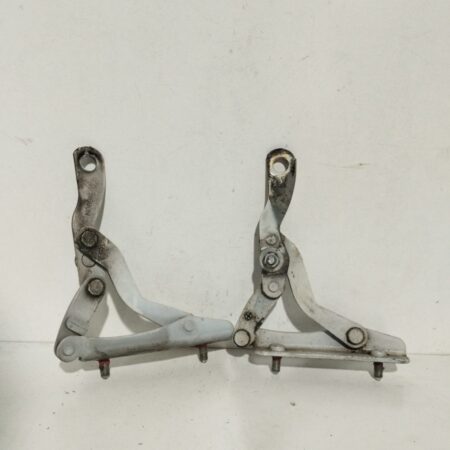 Bisagra Porton Renault Laguna (B56) 1998-2001 RT