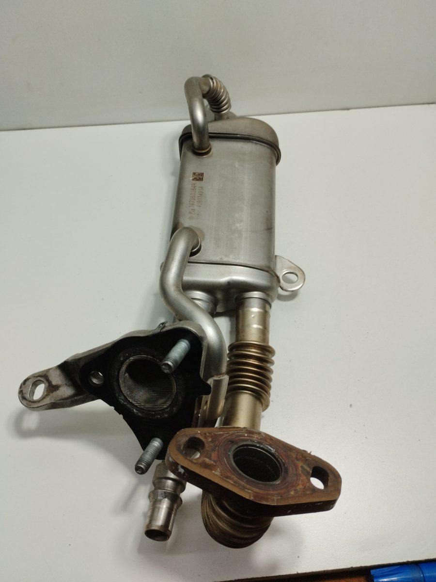 Enfriador Egr Renault Clio Iv 2012-Actualidad Business 1.5L 66kW 147350364R