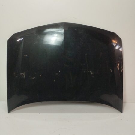 Espolon Renault Laguna II (BG0) 2001-2007 Authentique