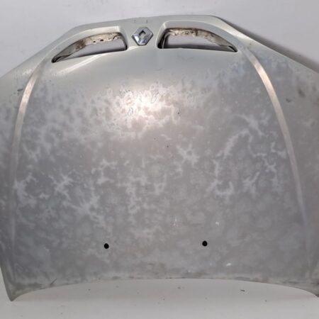 Espolon Renault Megane I Classic (LA0) 1996-2001 RN