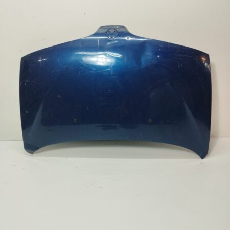 Espolon Renault Scenic (JA..) 1999-2003 Diesel CAT