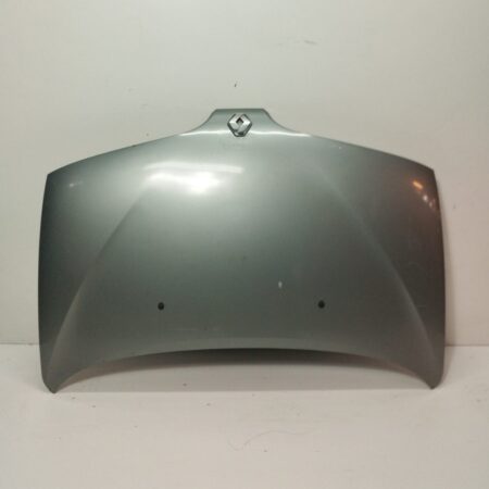 Espolon Renault Scenic (JA..) 1999-2003