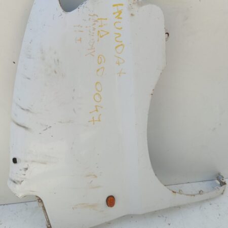 Guardabarro Delantero Derecho Hyundai H 1 1999-2007 Turbodiesel