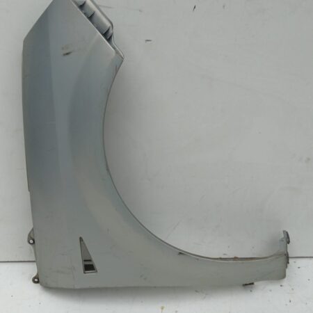 Guardabarro Delantero Derecho Renault Scenic Ii 2003-2009 Confort Dynamique