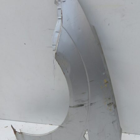 Guardabarro Delantero Izquierdo Ford Focus Berlina (CAK) 1998-2004 Ambiente