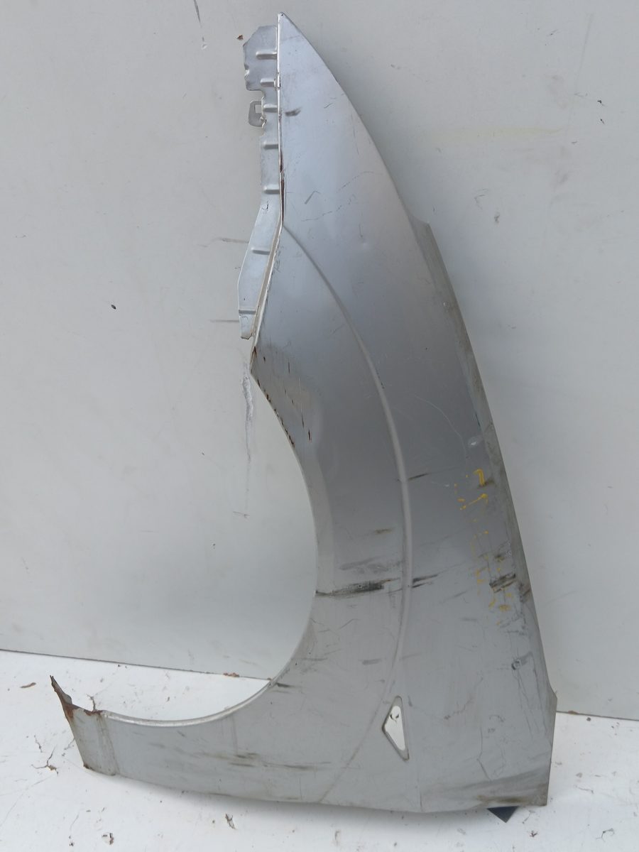 Guardabarro Delantero Izquierdo Ford Focus (CAK) 1998-2004