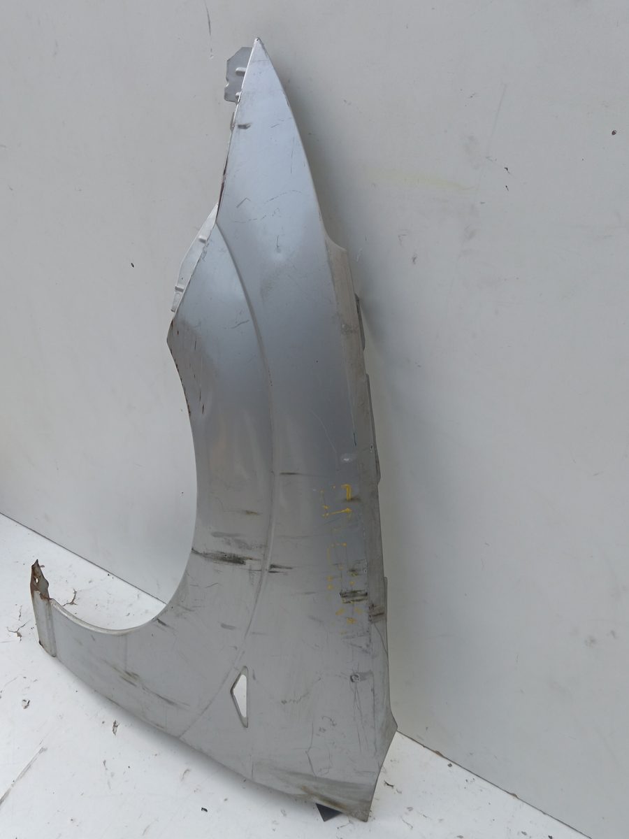 Guardabarro Delantero Izquierdo Ford Focus (CAK) 1998-2004
