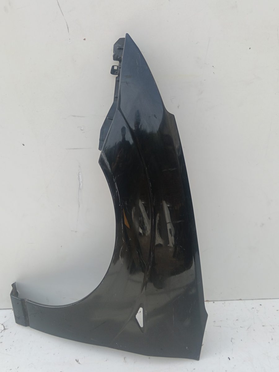 Guardabarro Delantero Izquierdo Ford Focus (CAK) 1998-2004
