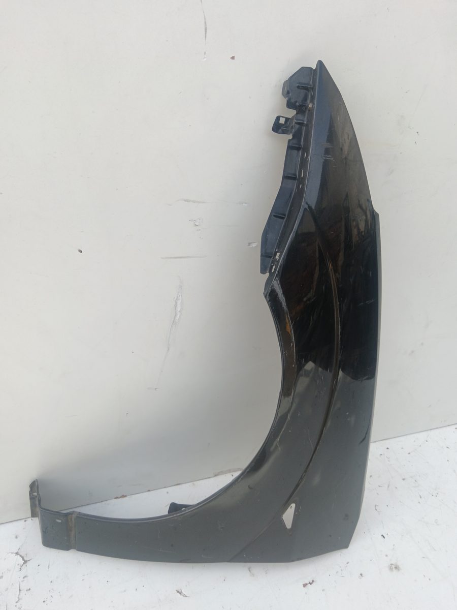 Guardabarro Delantero Izquierdo Ford Focus (CAK) 1998-2004