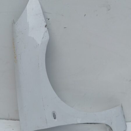 Guardabarro Delantero Izquierdo Peugeot 307 (S1) 2001-2005 XR