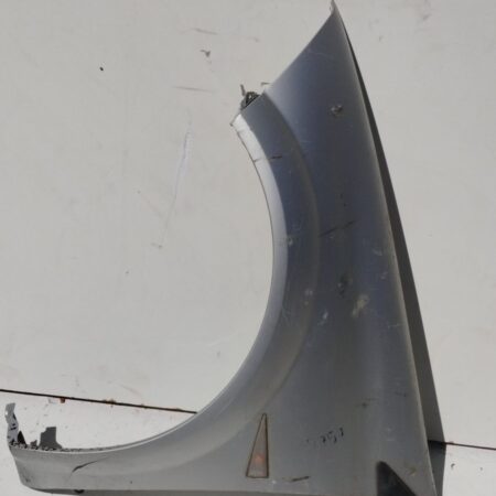 Guardabarro Delantero Izquierdo Renault Megane Ii Berlina 3p 2002-2009 Confort Authentique