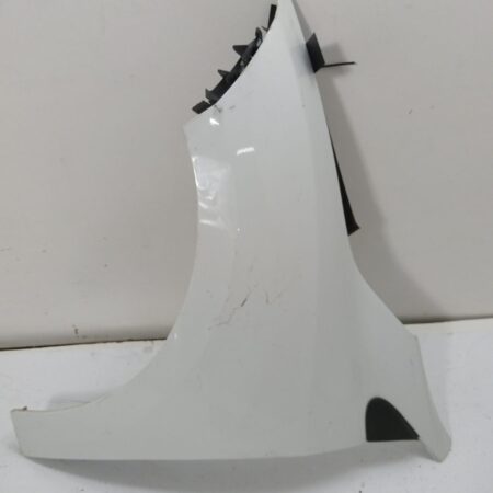 Guardabarro Delantero Izquierdo Renault Megane Iii Sport Tourer 2009-2018 Business