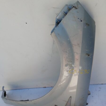 Guardabarro Delantero Izquierdo Renault Scenic Ii 2003-2009 Diesel