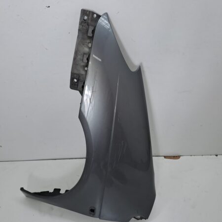 Guardabarro Delantero Izquierdo Renault Scenic (JA..) 1999-2003 RT