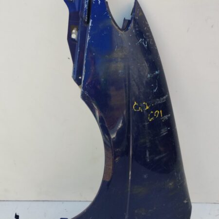 Guardabarro Delantero Izquierdo Renault Scenic (JA..) 1999-2003 Diesel