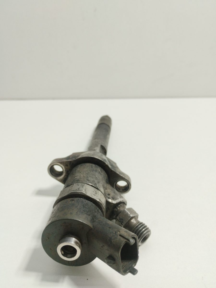 Inyector Citroën Berlingo 2002-2011 1.6 HDi 75 SX Familiar 1.6L 55kW 044510259