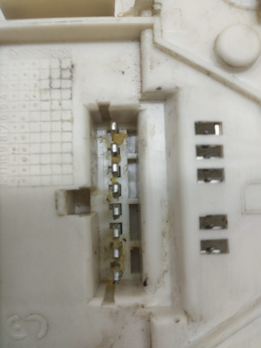 Porta Lampara Trasero Derecho Renault 19 (B/C/L53) 1992-1996