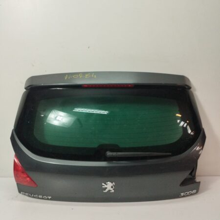 Porton Trasero Peugeot 3008 2009-2016 FAP CAT (9HZ / DV6TED4)