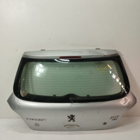 Porton Trasero Peugeot 307 (S1) 2001-2005 FAP CAT